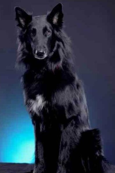 Design ohne Titel (4)